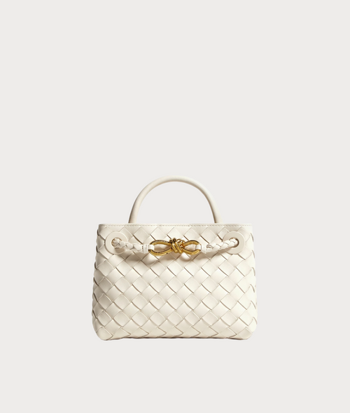 BOTTEGA VENETA Andiamo(Mini/4 Colors)