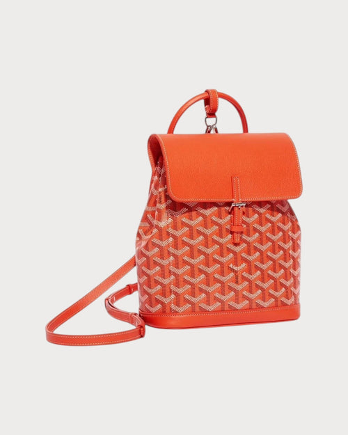 GOYARD Alpin Mini Backpack | 戈雅 背囊 (多色) - LONDONKELLY 英国名牌代购